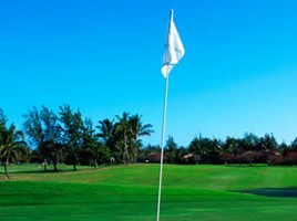 Golf Flag