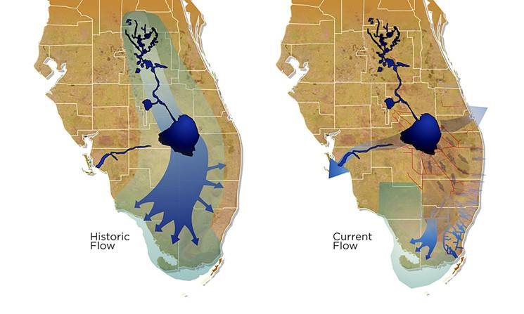 South Florida Watershed Florida algae outbreak